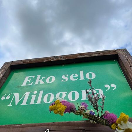 Etno Selo - Guest House Etno Village - Trsa Pluzine Luaran gambar