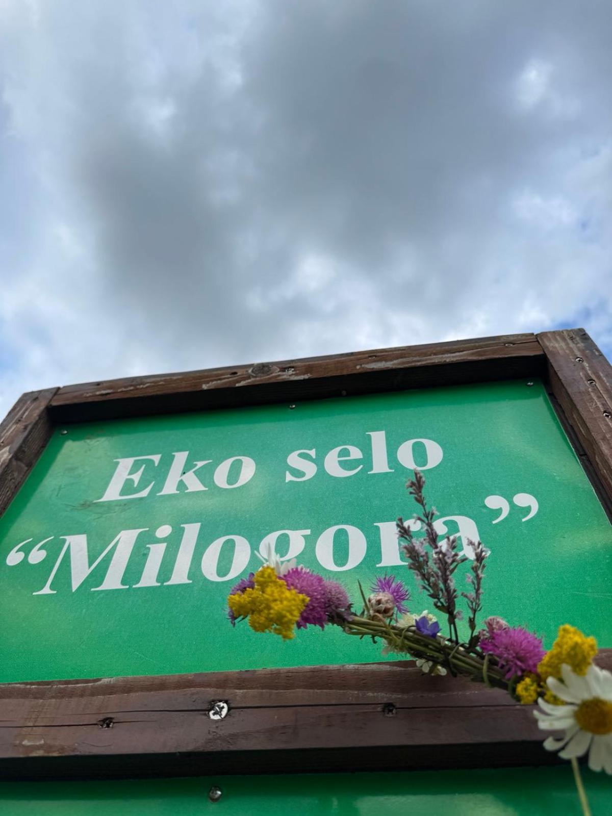 Etno Selo - Guest House Etno Village - Trsa Pluzine Luaran gambar